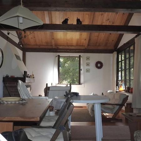 Modrzewiowy Domek Letniskowy - Stare Czaple Brodnica  Εξωτερικό φωτογραφία