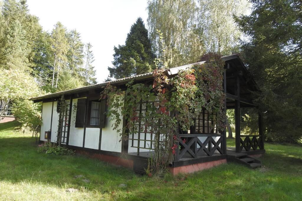 Modrzewiowy Domek Letniskowy - Stare Czaple Brodnica  Εξωτερικό φωτογραφία
